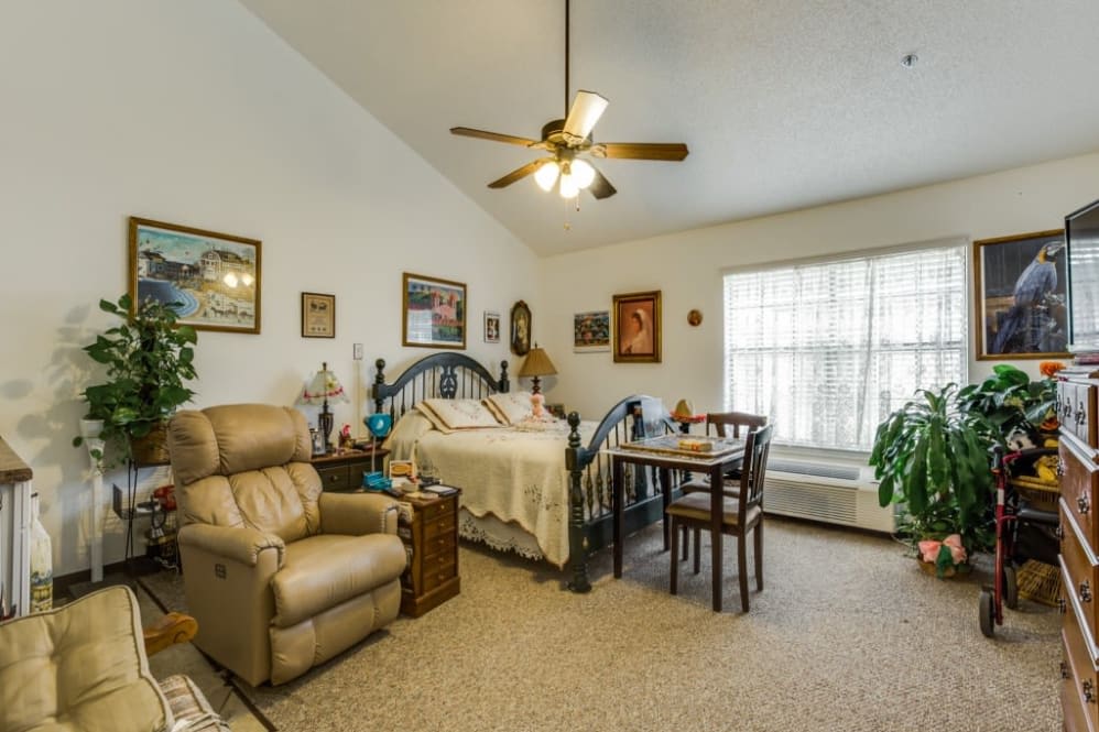 A cozy living space with a bed, armchair, table, and decorative elements. A ceiling fan hangs from the ceiling, and sunlight streams through the large window.