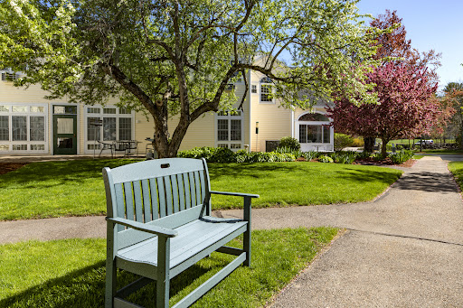 A serene outdoor space featuring a green bench surrounded by lush grass and trees, with a cozy building in the background.