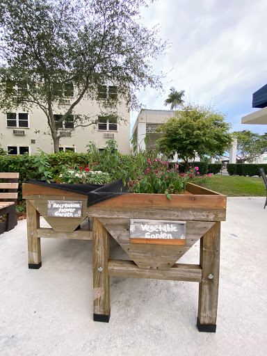 A view of raised garden planters filled with lush greenery in a community outdoor space.