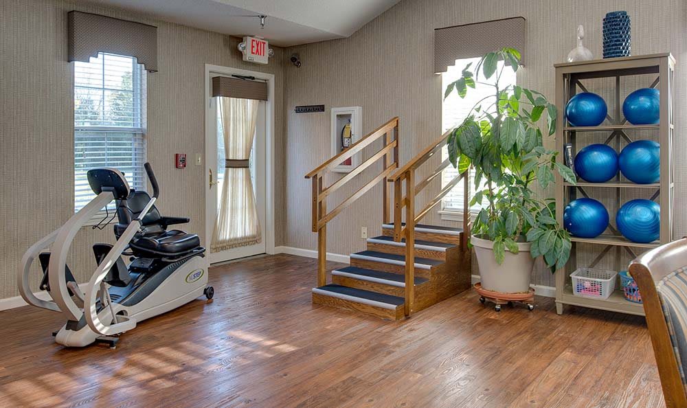 A bright interior space with exercise equipment, a small staircase, and a large potted plant.
