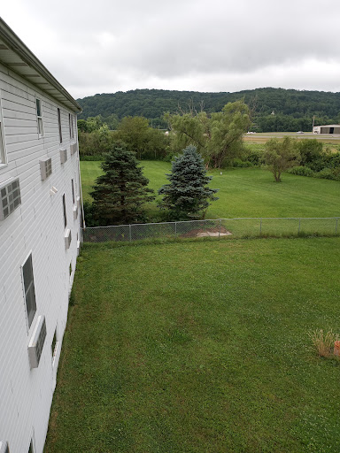 A serene outdoor view featuring lush green grass, trees, and mountains in the background under an overcast sky.