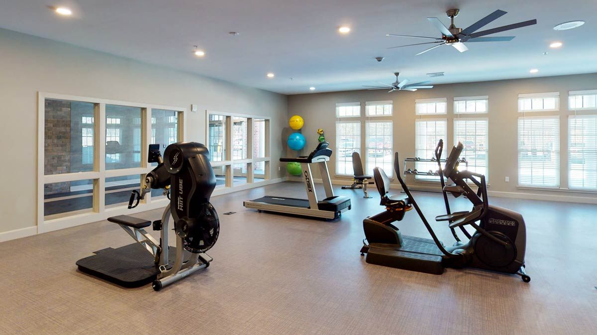 A well-equipped gym with treadmills, stationary bikes, and exercise balls for fitness enthusiasts.