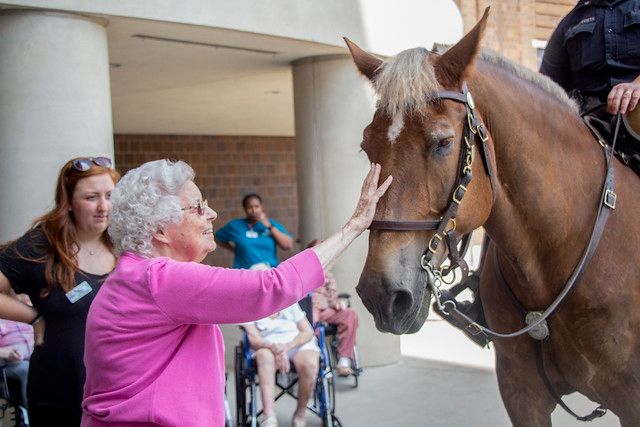 Home Instead Home Care