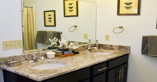 A neatly organized bathroom with a double sink and decorative elements on the countertop.
