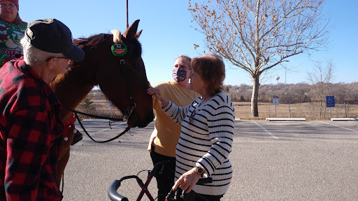 Two individuals enjoying a moment with a horse in an outdoor setting.