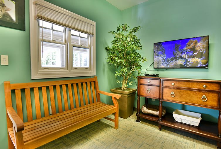A cozy waiting room with green walls featuring a wooden bench, a decorative plant, and a cabinet with a mounted television.