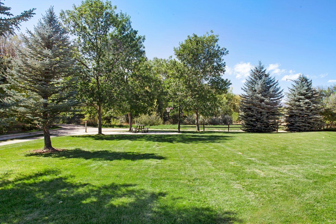 A scenic park with lush green grass and tall trees under a clear blue sky.