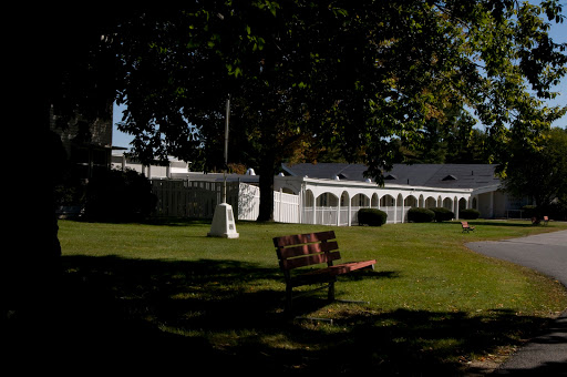 A serene park scene featuring a bench under a tree, surrounded by lush grass and white fencing.