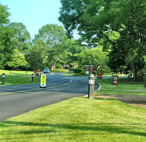 A peaceful park road lined with lush greenery and trees, inviting visitors to explore.