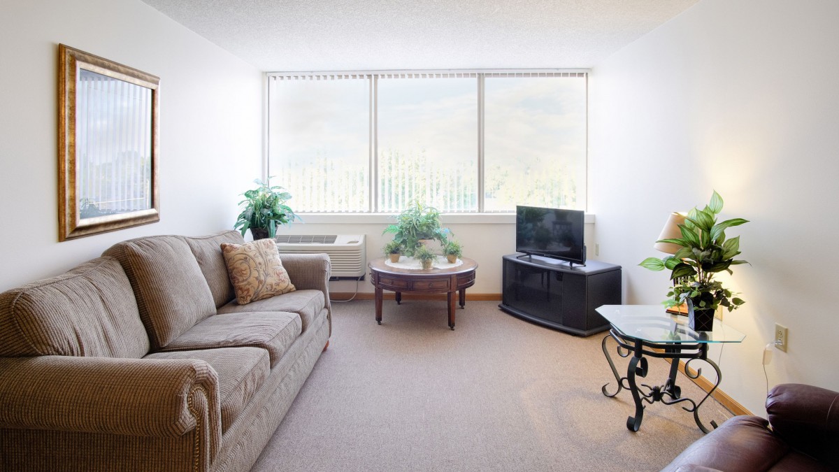 A bright living room with a sofa, TV, and plants near a large window.