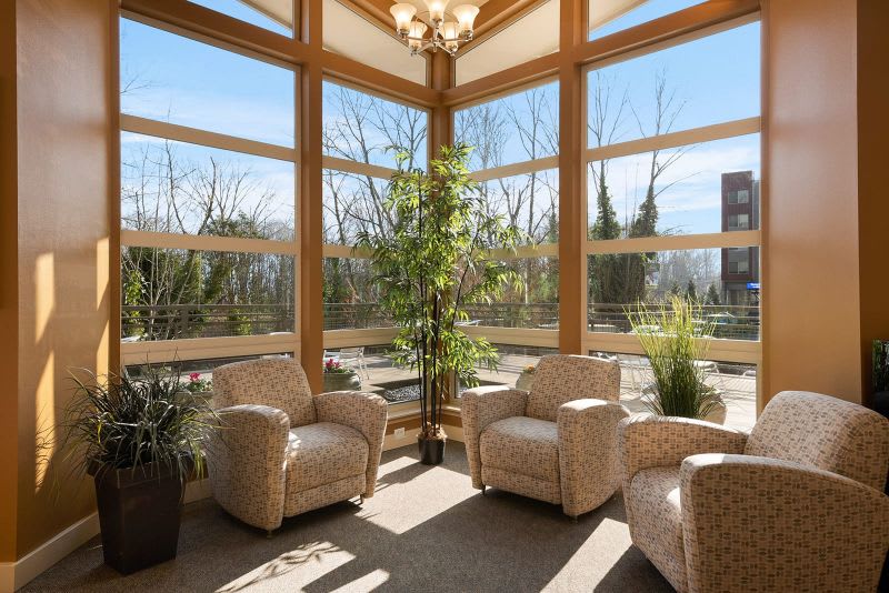 A cozy lounge area with armchairs, abundant natural light, and surrounding greenery.