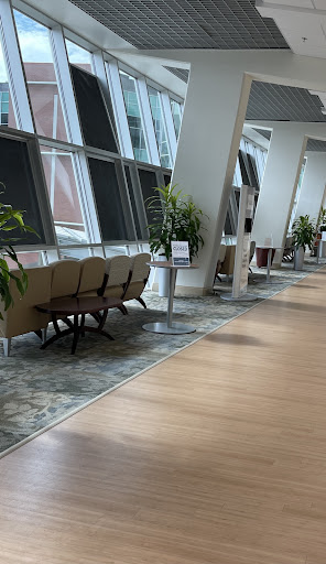 A modern waiting area featuring comfortable seating and decorative plants.