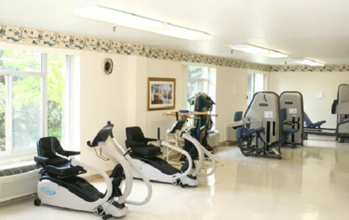 Mt Lebanon Rehabilitation And Wellness Center