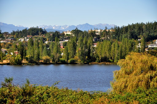 A serene view of a lake surrounded by lush greenery and distant mountains.