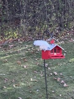 A red bird feeder shaped like a small house stands in a grassy backyard, surrounded by fallen leaves.