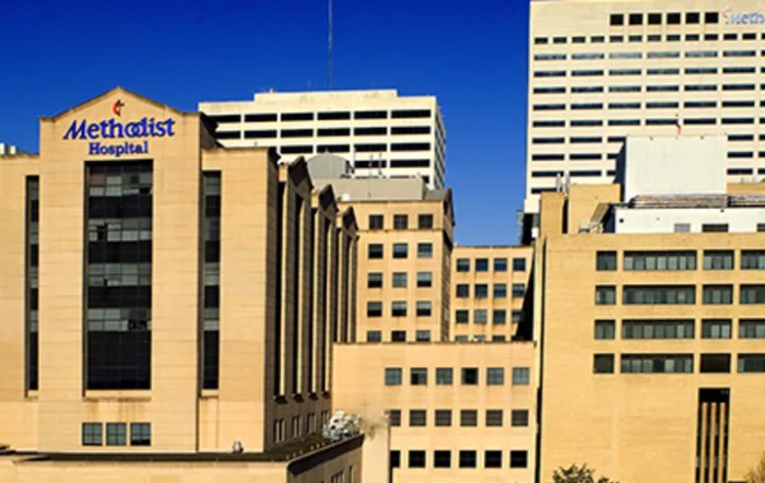 The Methodist Hospital