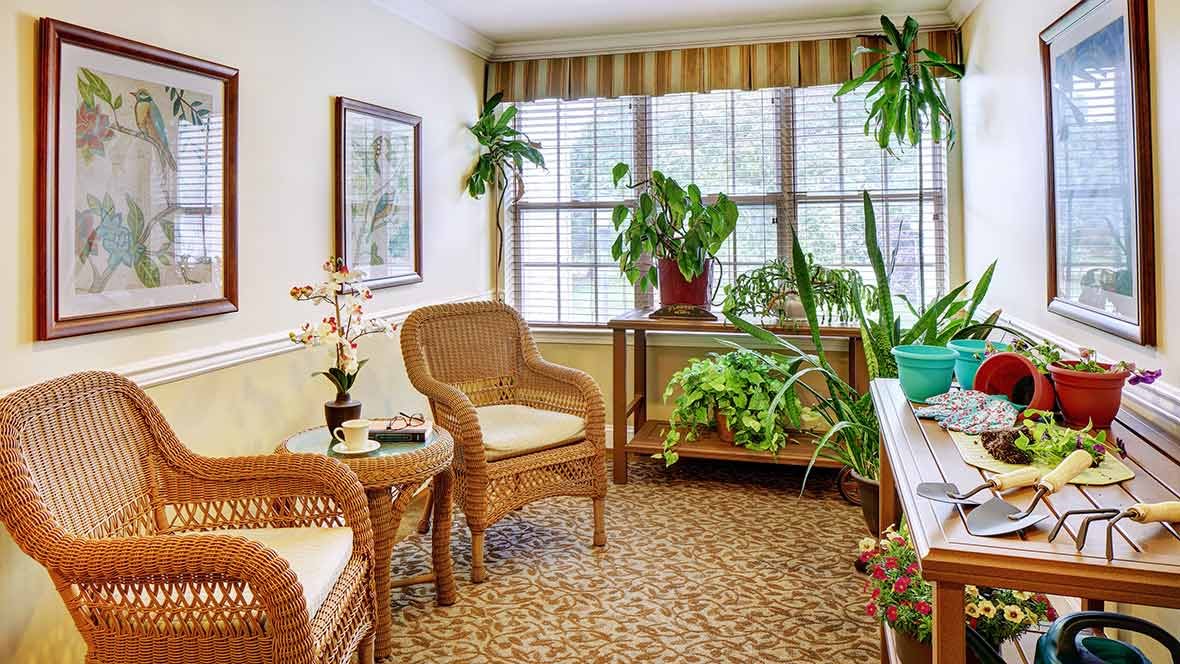 A cozy living room with wicker chairs and abundant natural light, decorated with green plants.