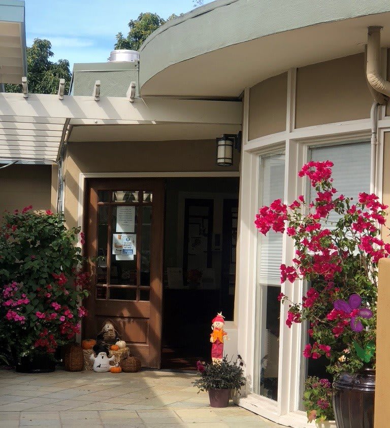 A cozy house entrance adorned with vibrant flowers and plants.