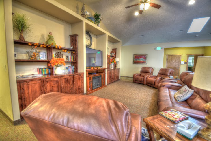 A cozy living room with leather sofas, a TV, and a fireplace surrounded by bookshelves.