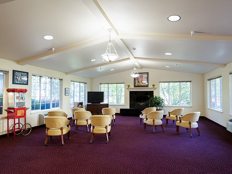 A cozy seating area with chairs arranged in a circle, featuring large windows, a fireplace, and a television.
