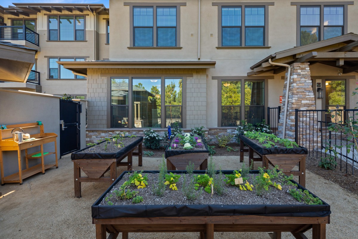 A backyard garden featuring several raised beds with growing plants.