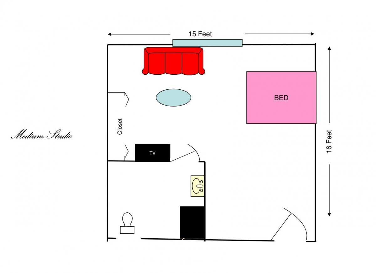 A floor plan of a studio apartment showcasing furniture layout and room organization.
