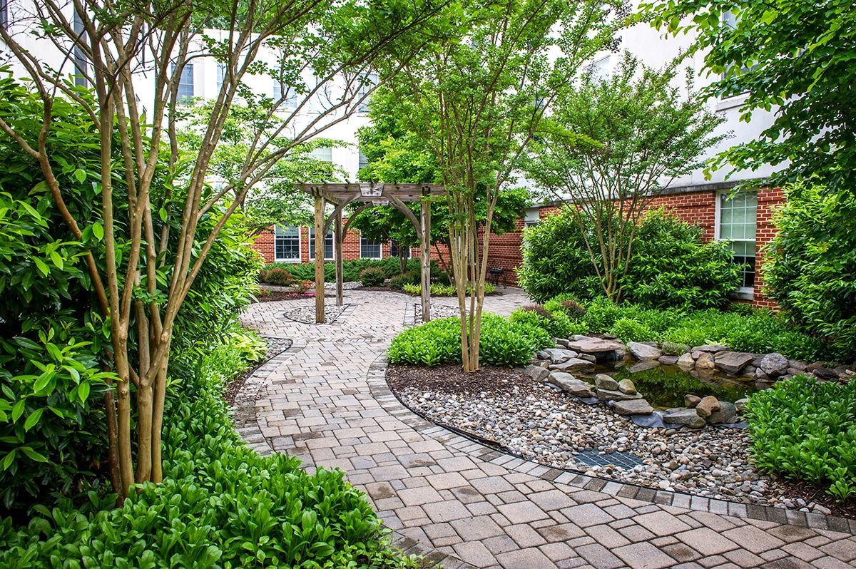 A beautifully landscaped garden with a winding stone pathway surrounded by lush greenery and trees.