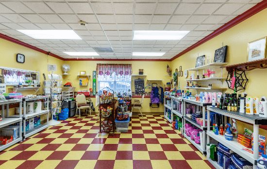 Interior of a pet shop with checkered flooring and shelves stocked with various products.