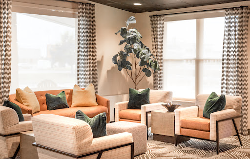 A stylish and modern living room featuring comfortable seating, decorative cushions, and a touch of greenery.