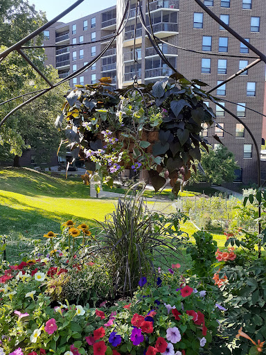 Lake Shore Drive Condominiums