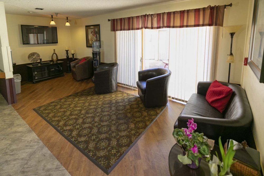 A cozy living room with sofas, chairs, and a decorative coffee table.