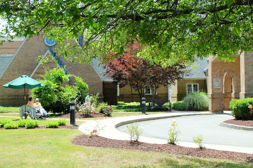 A serene residential garden showcasing lush greenery and a well-maintained lawn.