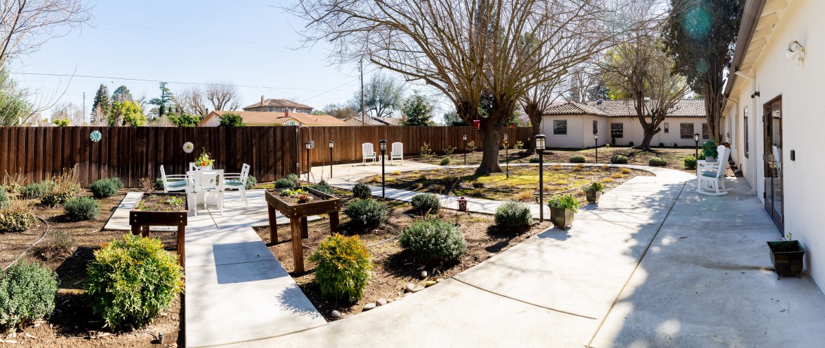 A landscaped backyard featuring a variety of shrubs and trees, with a patio and wooden fence in the background.