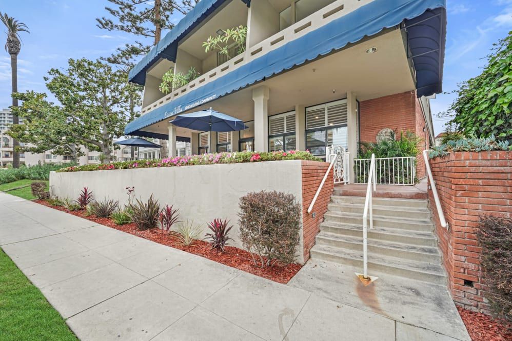A building entrance featuring stairs, a blue awning, and landscaped plants.