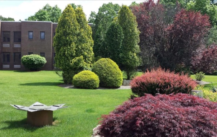 A beautifully landscaped garden with lush greenery, trees, and well-maintained shrubs.