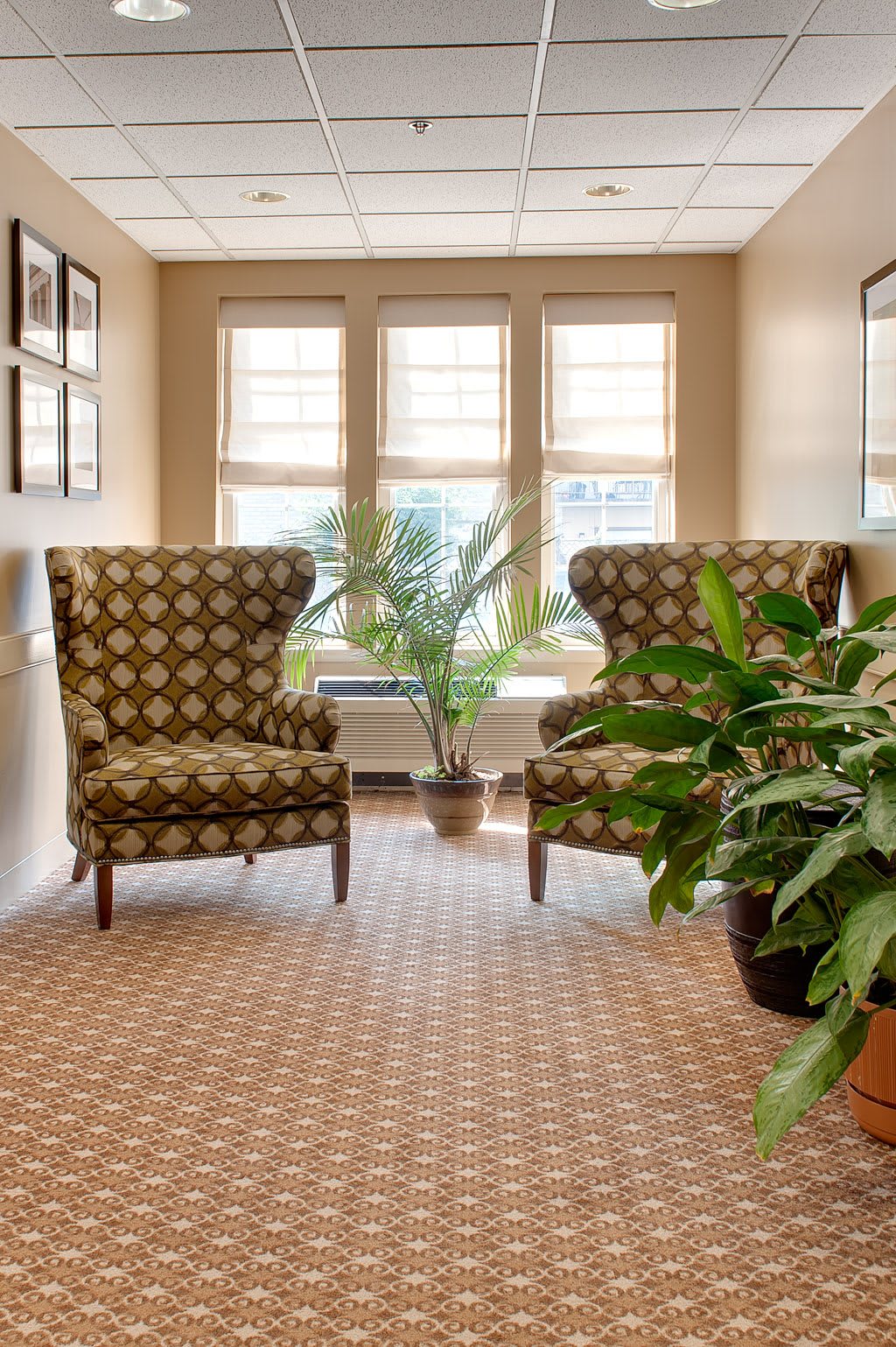 A cozy lounge area with two patterned chairs, potted plants, and sunlight streaming through the windows.