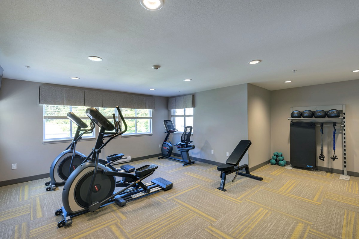 A modern gym with various exercise equipment including treadmills, ellipticals, a bench, and weights.