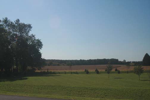 A serene landscape with a grassy field, trees, and a clear blue sky.