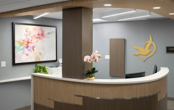 A modern reception area featuring a curved front desk, decorative plants, and contemporary artwork.