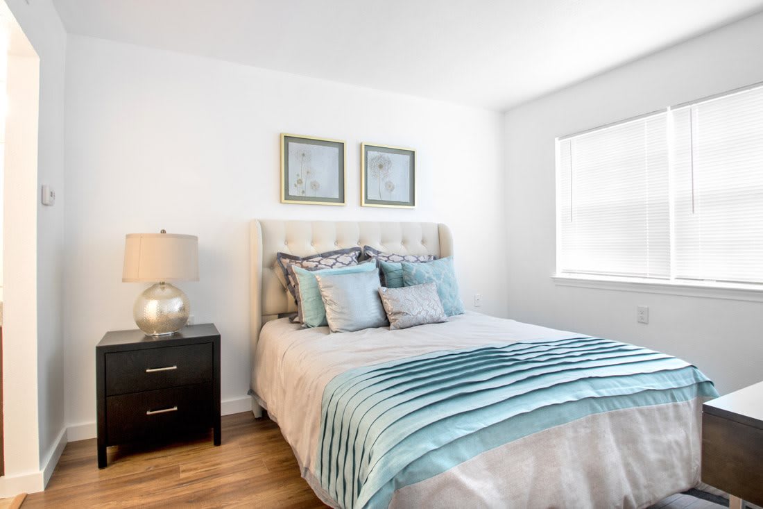 A modern bedroom with a neatly made bed, featuring decorative pillows and a matching comforter, accompanied by a nightstand and lamp.