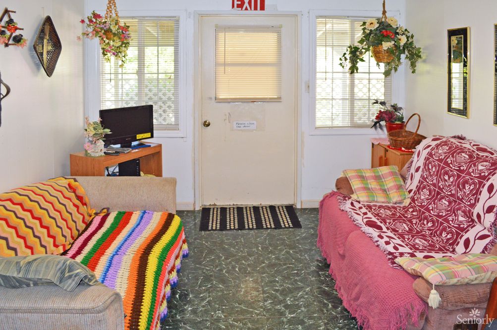 A cozy living room with colorful blankets and potted plants.