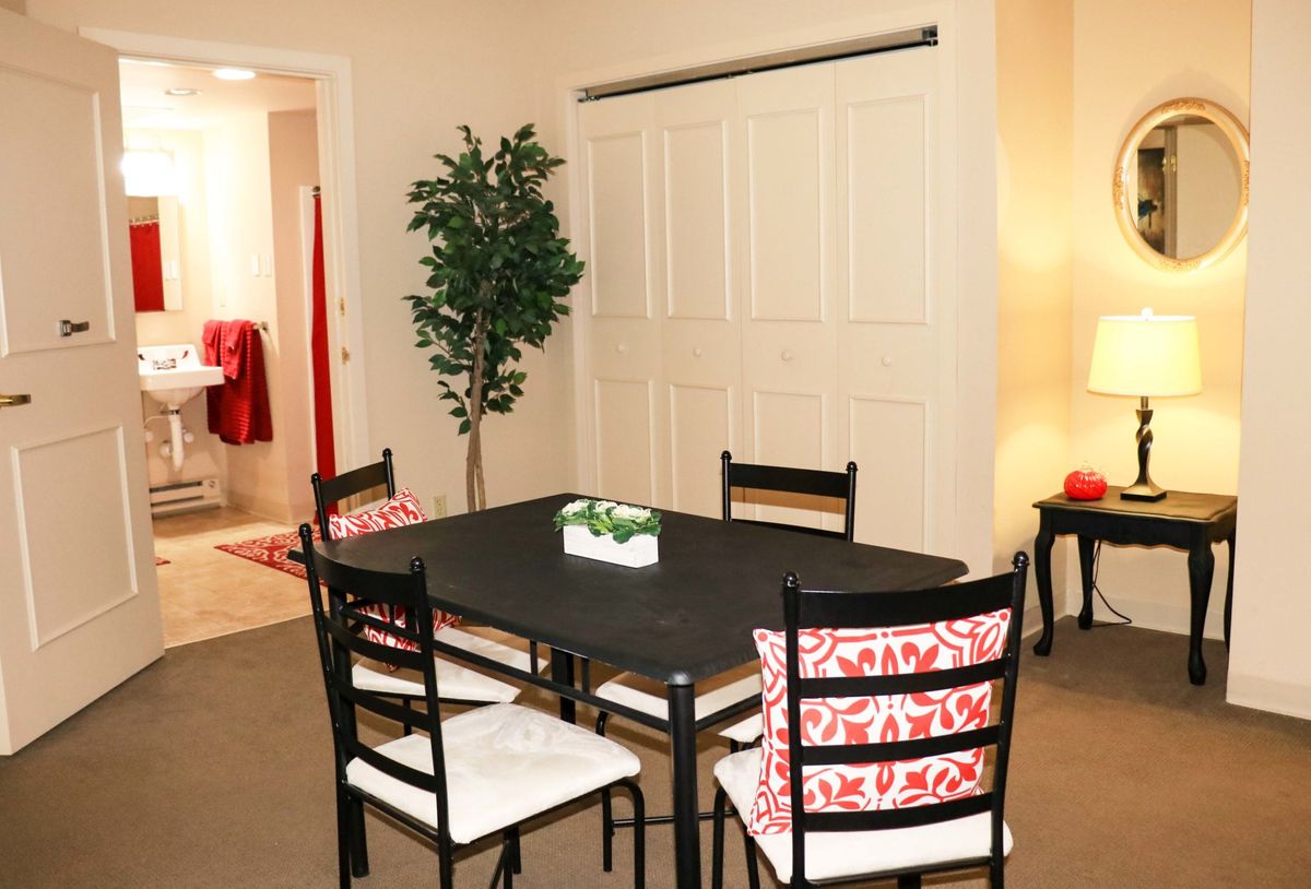 A modern dining area with a black table, chairs adorned with red and white cushions, and a decorative indoor plant.
