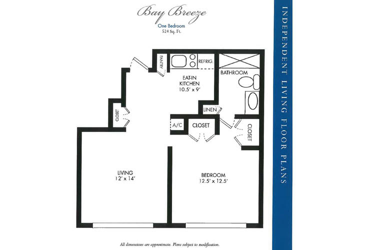 A floor plan of a one-bedroom, one-bathroom apartment with a living room and kitchen.