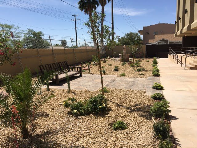 A sunny yard with desert landscaping featuring benches, plants, and a gravel pathway.