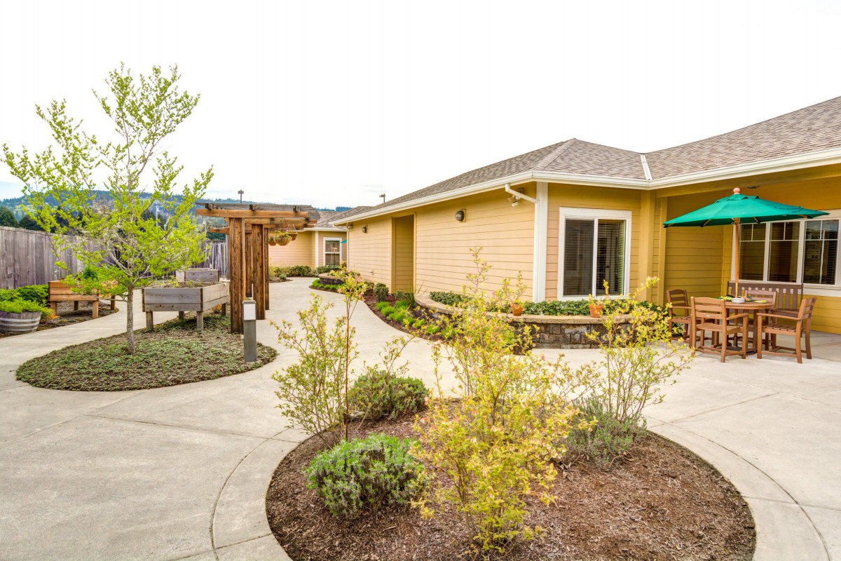 A well-maintained garden path leads to a yellow house, surrounded by lush greenery and modern landscaping.