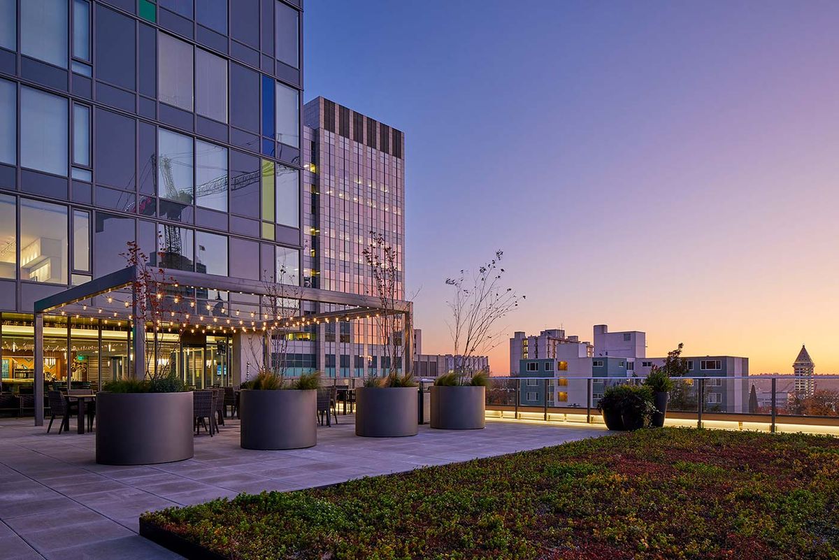 A modern office building with a rooftop garden at sunset in an urban setting.