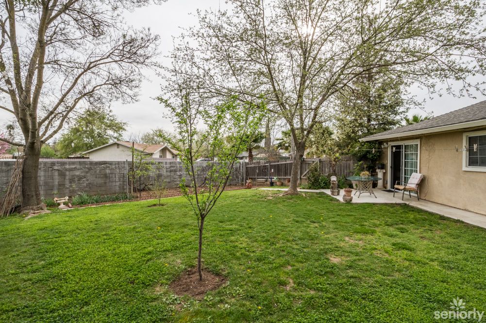 A peaceful backyard with a young tree, lush grass, and a fenced perimeter.