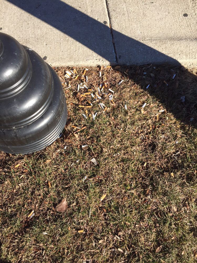 A lamp post casting a shadow on the grass beside a sidewalk.