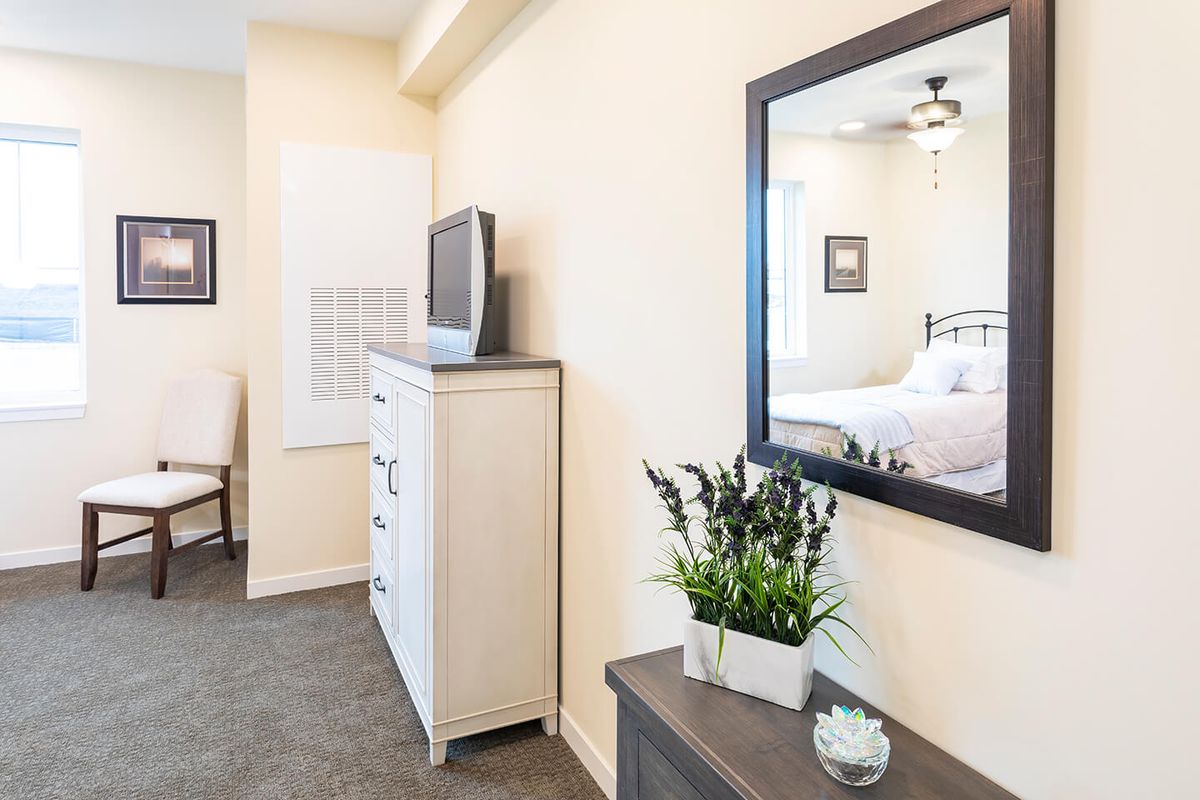 A well-decorated bedroom featuring a dresser with a TV, a large decorative mirror, and potted plants.