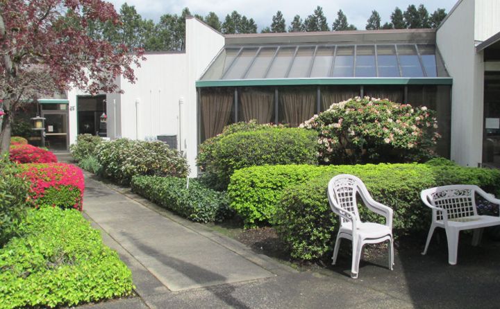 A serene outdoor garden with a pathway lined by lush greenery and a plastic chair.
